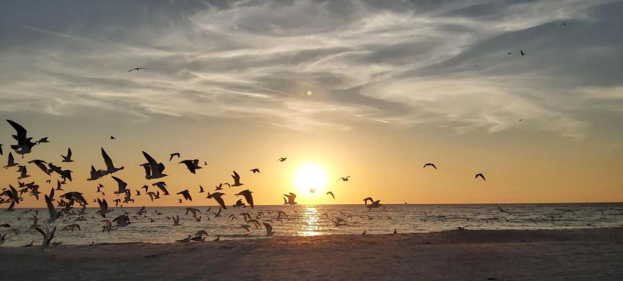 Villa Sunset Vistas 211N St. Pete Beach Exterior foto